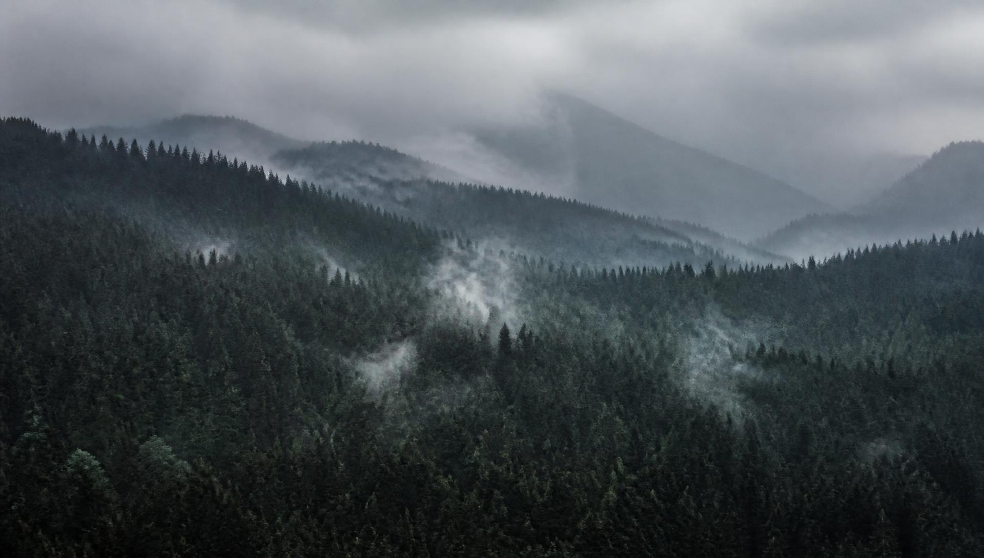 Forested ridgelines fading into layers of mist